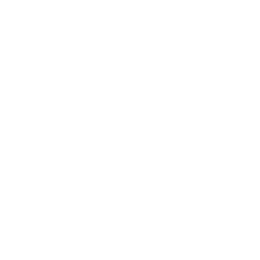 Ícono nacional