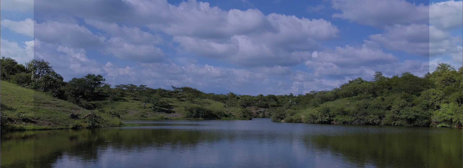 Banner de Entorno e Infraestructura